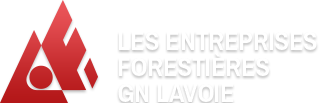 GNLavoie_Logo